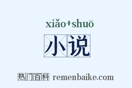 小说是什么意思的图片
